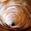 A beautiful image featuring Brown, Spiral, Natural material Image of Brown
