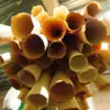 A beautiful image featuring Wood, Natural material, Hardwood Image of Wood
