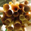 A beautiful image featuring Wood, Natural material, Hardwood Image of Wood