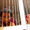 A beautiful image featuring Harp, Chordophone, Happiness Image of Harp