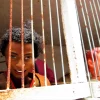 A beautiful image featuring Harp, Chordophone, Happiness Image of Harp