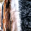 A beautiful image featuring Brown, Natural material Image of Brown