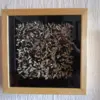 A beautiful image featuring Natural material, Still life photography Image of Natural material