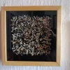 A beautiful image featuring Natural material, Still life photography Image of Natural material