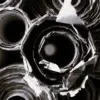 A beautiful image featuring White, Monochrome photography, Black, Petal, Black and white Image of White