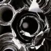 A beautiful image featuring White, Monochrome photography, Black, Petal, Black and white Image of White