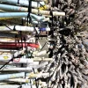 A beautiful image featuring Pipe Image of Pipe