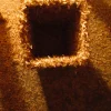 A beautiful image featuring Brown, Orange Image of Brown