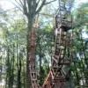 A beautiful image featuring Wood, Trunk, Woody plant, Park, Woodland Image of Wood