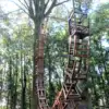 A beautiful image featuring Wood, Trunk, Woody plant, Park, Woodland Image of Wood