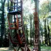 A beautiful image featuring Wood, Trunk, Woodland Image of Wood