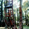 A beautiful image featuring Wood, Trunk, Woodland Image of Wood