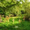 A beautiful image featuring Vegetation, Cross, Plant community, Groundcover, Grave Image of Vegetation