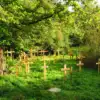 A beautiful image featuring Vegetation, Cross, Plant community, Groundcover, Grave Image of Vegetation