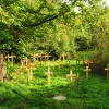 A beautiful image featuring Vegetation, Cross, Plant community, Groundcover, Grave Image of Vegetation