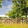 A beautiful image featuring Landscape, Plain, Land lot, Groundcover, Field Image of Landscape