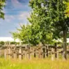 A beautiful image featuring Landscape, Plain, Land lot, Groundcover, Field Image of Landscape