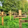 A beautiful image featuring Wood, Cross, Plant community, Groundcover, Spring Image of Wood