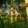 A beautiful image featuring Nature, Natural environment, Vegetation, Cross, Plant community Image of Nature