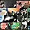 A beautiful image featuring Collage, Design, Graphic design Image of Collage