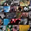 A beautiful image featuring Collage, Collection Image of Collage