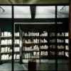 A beautiful image featuring Shelving, Shelf, Bookcase, Glass, Publication Image of Shelving
