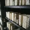 A beautiful image featuring Natural material Image of Natural material
